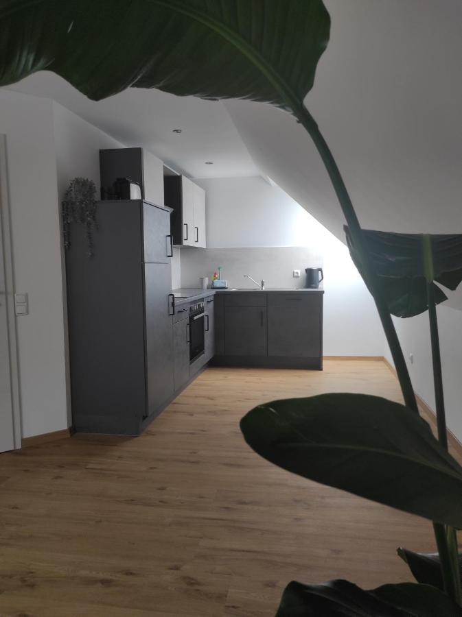 Ferienwohnung Im Distelweg Scheid  Экстерьер фото